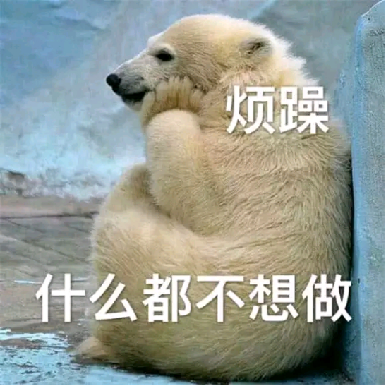 62ff569108c88.png
